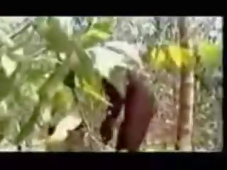 Pemberian sebuah mengisap penis untuk tribesman untuk 8 pon dari bananas